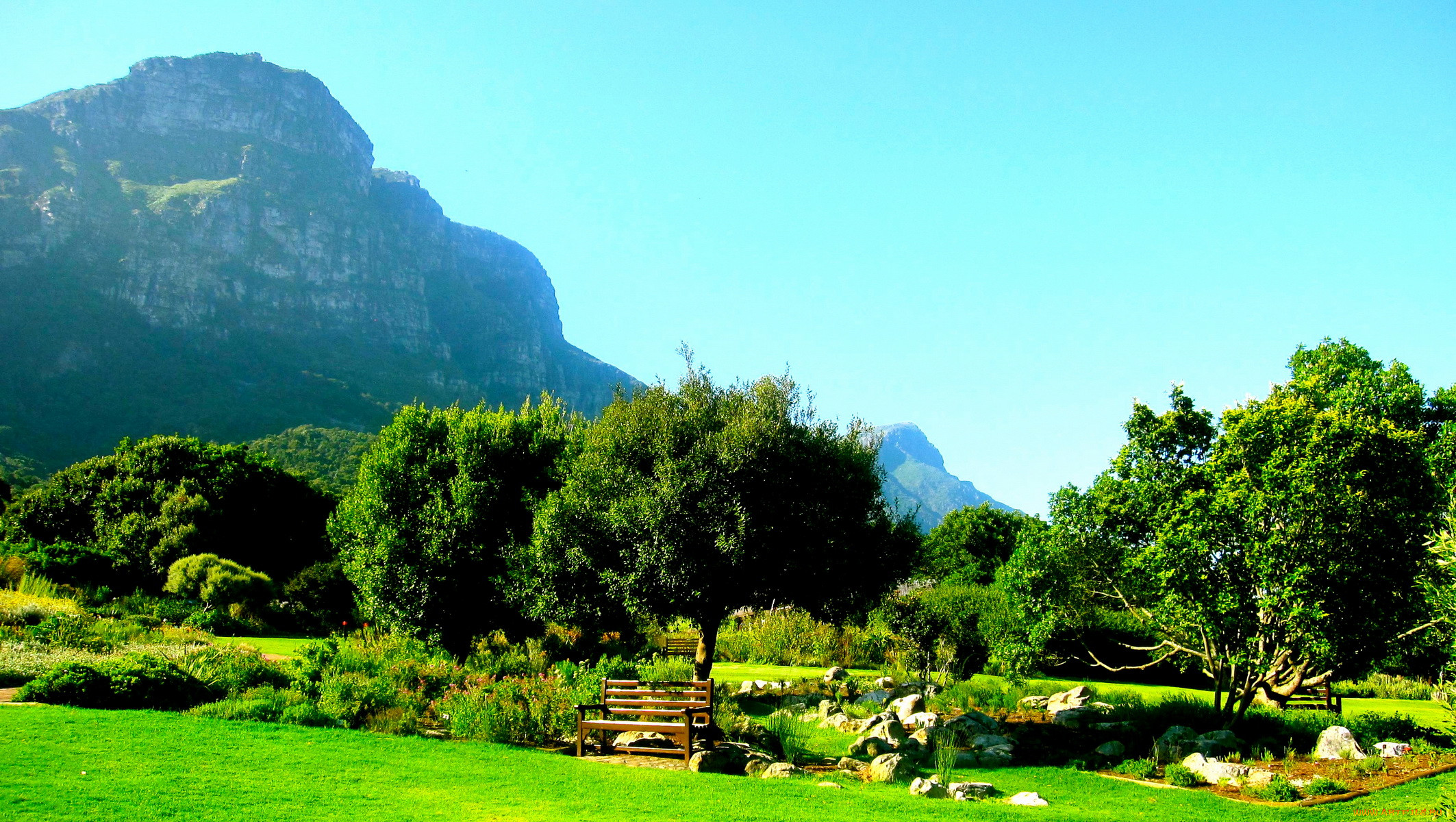 kirstenbosch, national, botanic, garden, south, africa, , , , , , , 